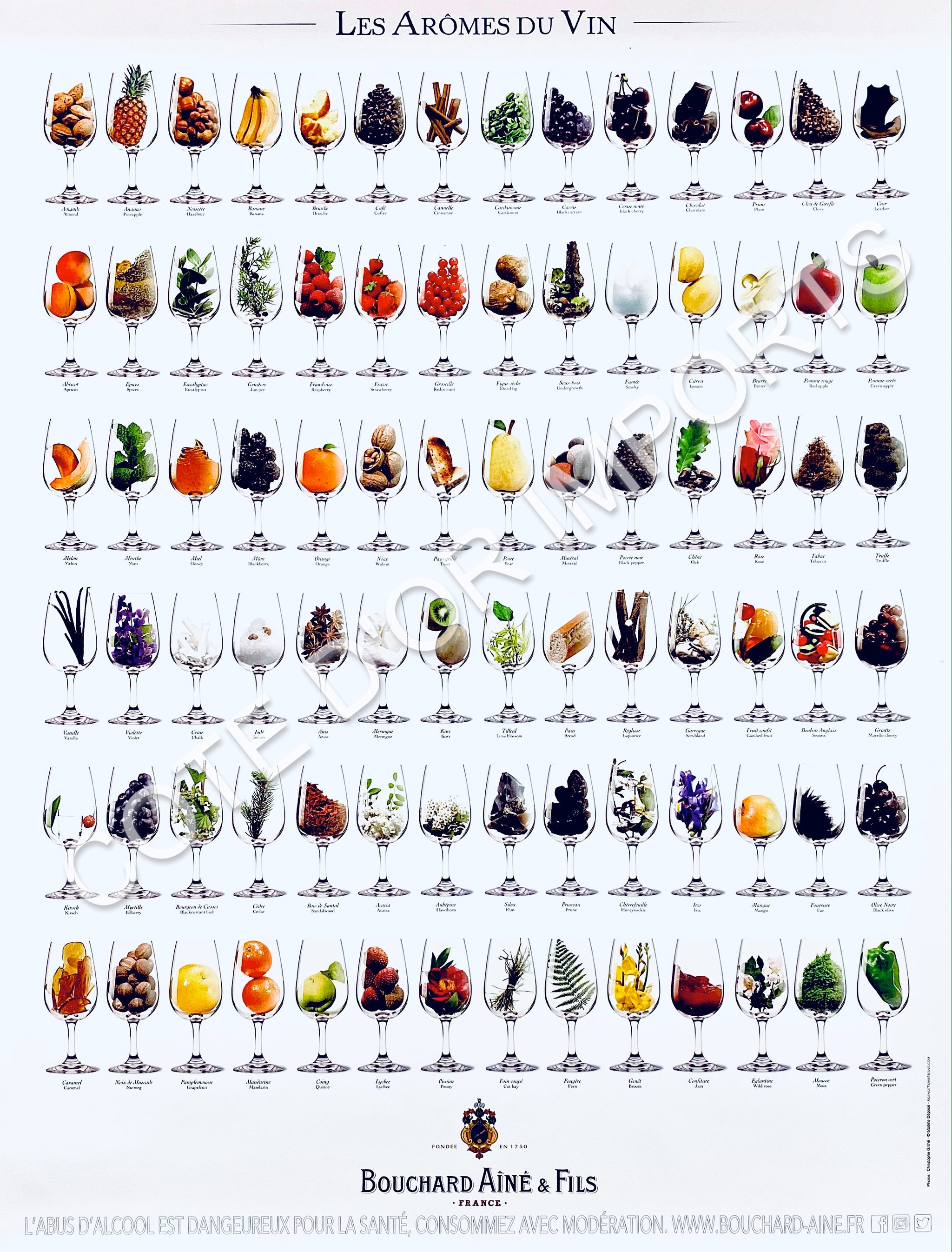 Aromes du Vin (Aroma Poster) – Cote d'Or Imports Accessories