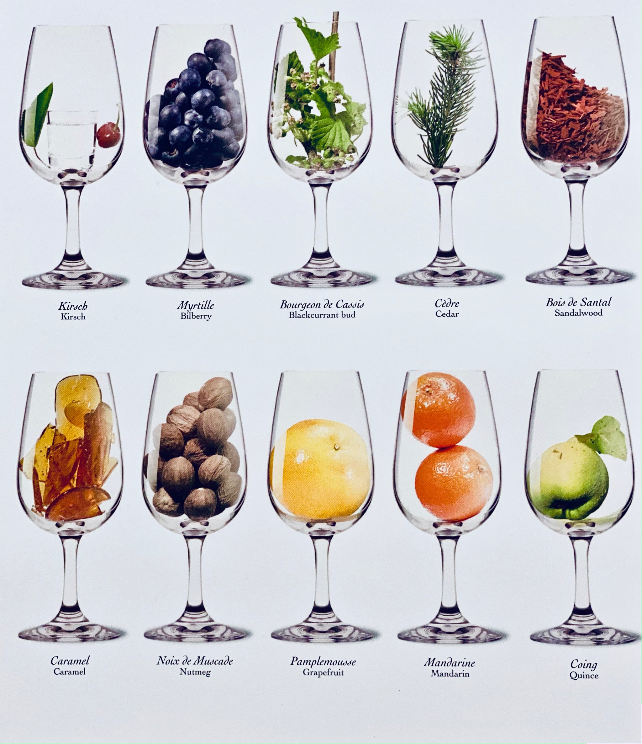 Aromes du Vin (Aroma Poster) – Cote d'Or Imports Accessories